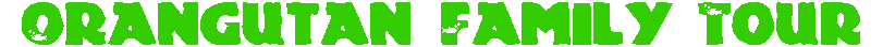 Orangutan Tour